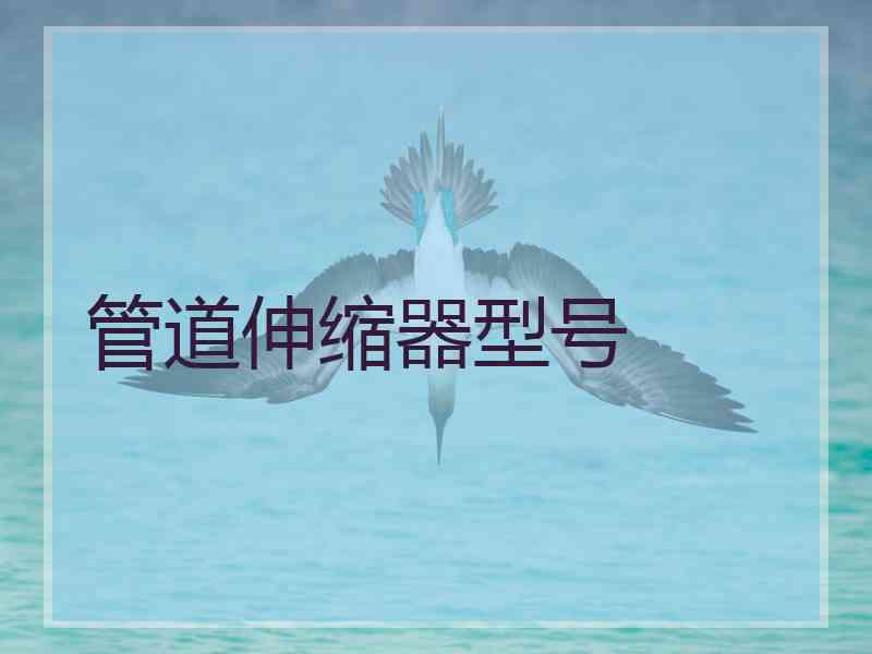 管道伸缩器型号