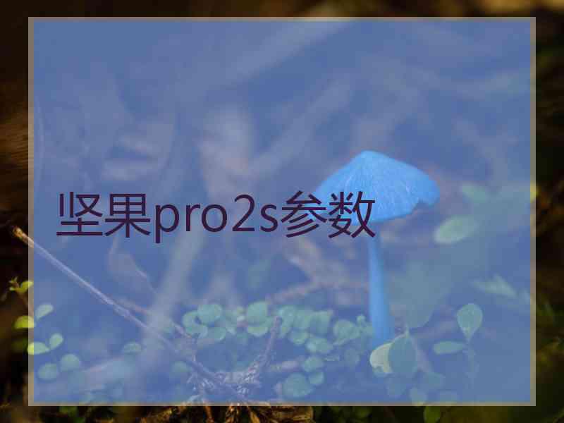 坚果pro2s参数