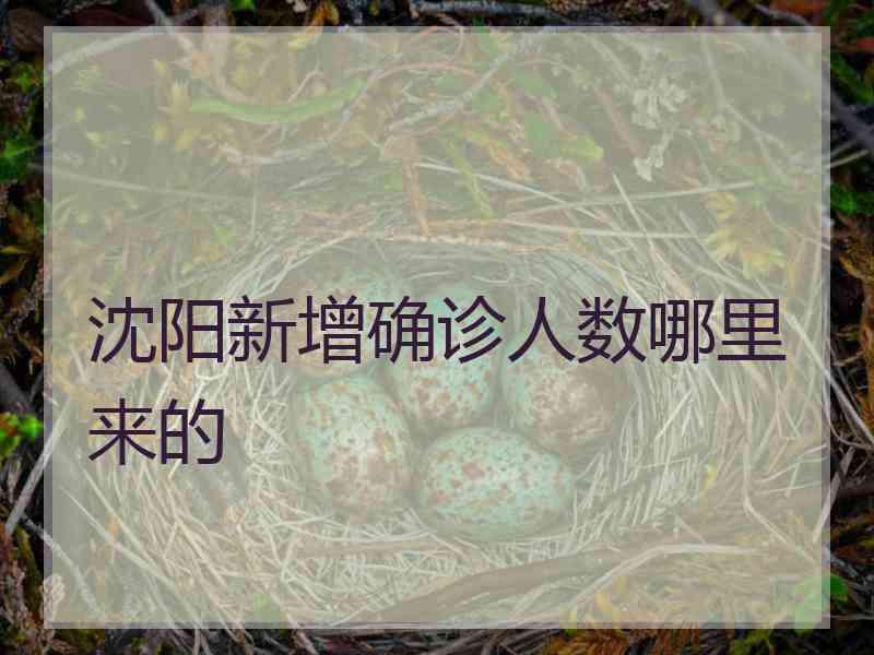 沈阳新增确诊人数哪里来的