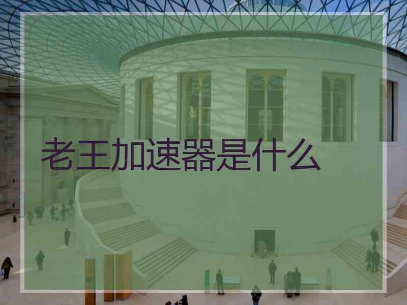 老王加速器是什么