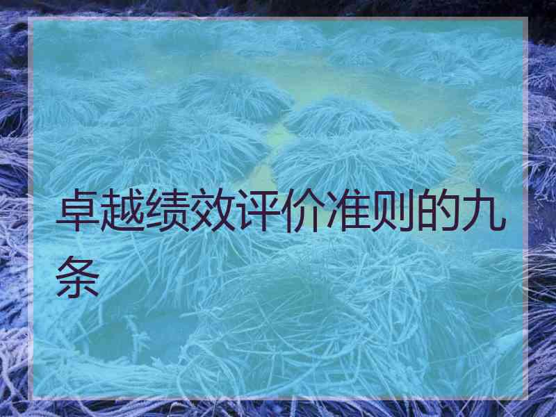 卓越绩效评价准则的九条