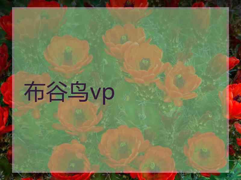 布谷鸟vp