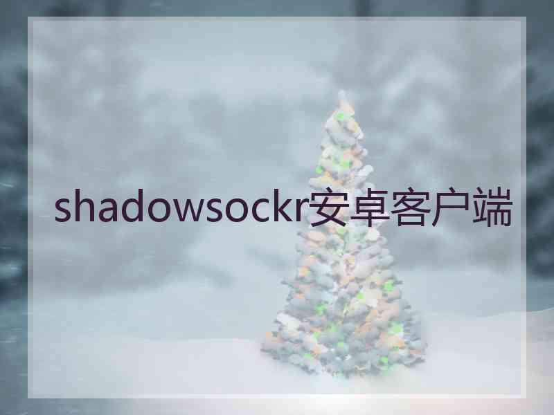 shadowsockr安卓客户端