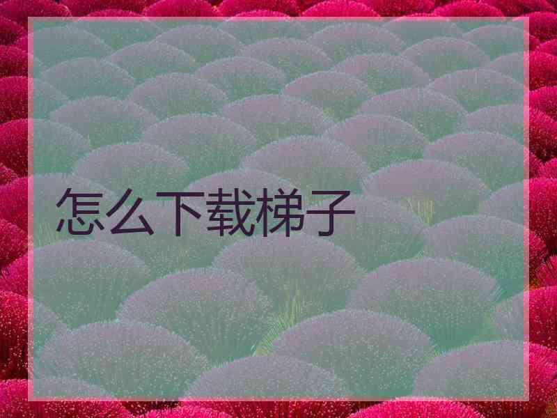 怎么下载梯子