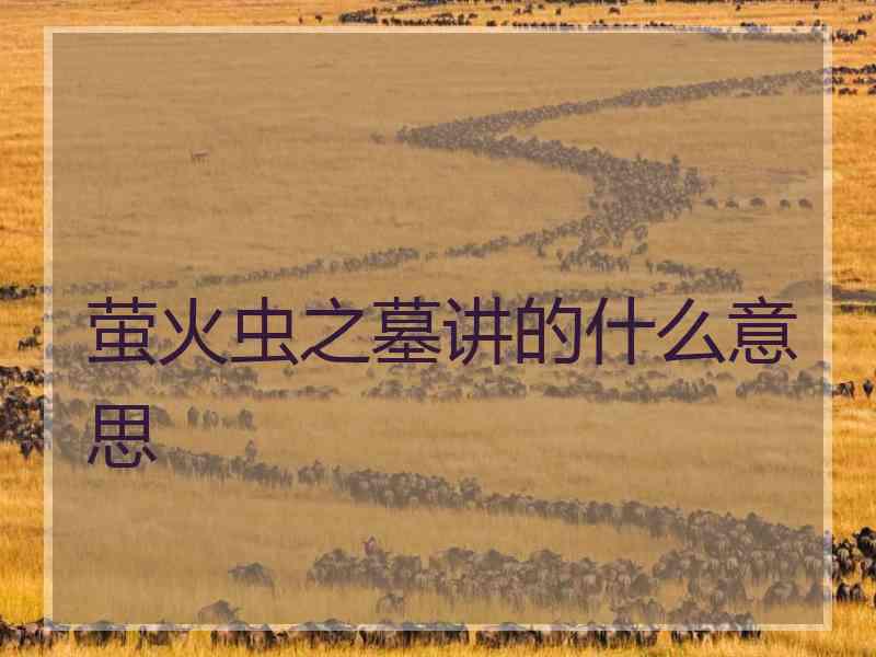 萤火虫之墓讲的什么意思