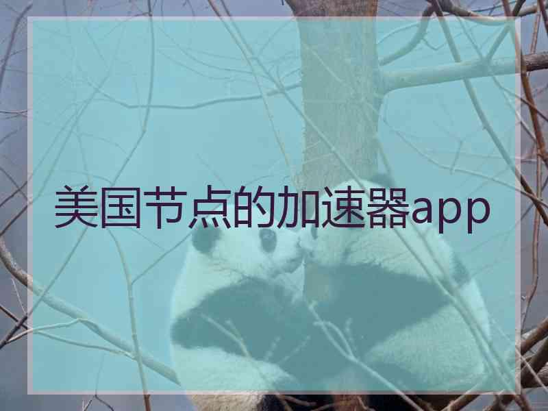 美国节点的加速器app