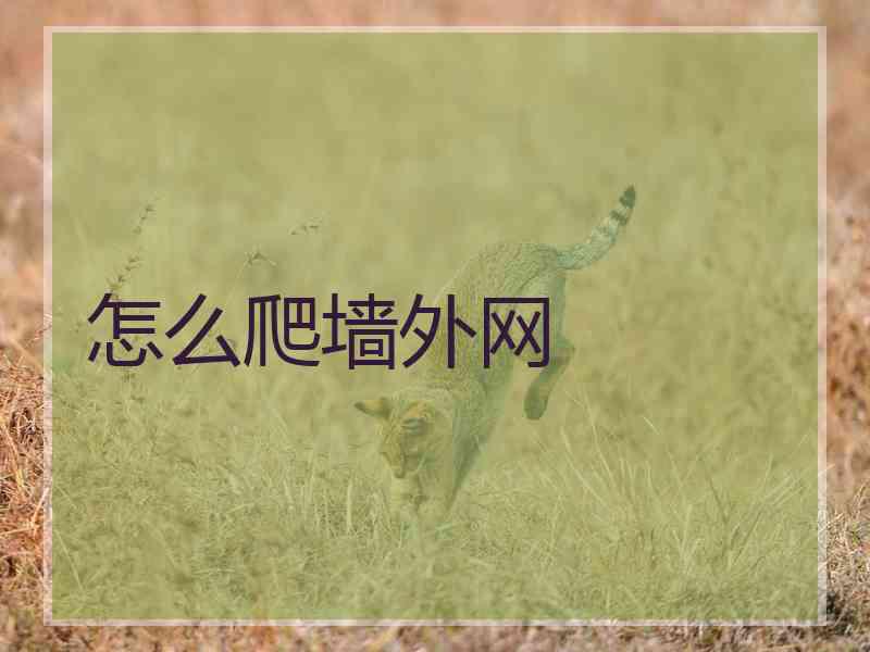 怎么爬墙外网