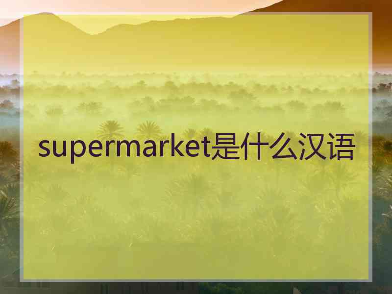 supermarket是什么汉语