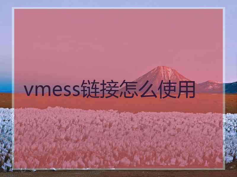vmess链接怎么使用