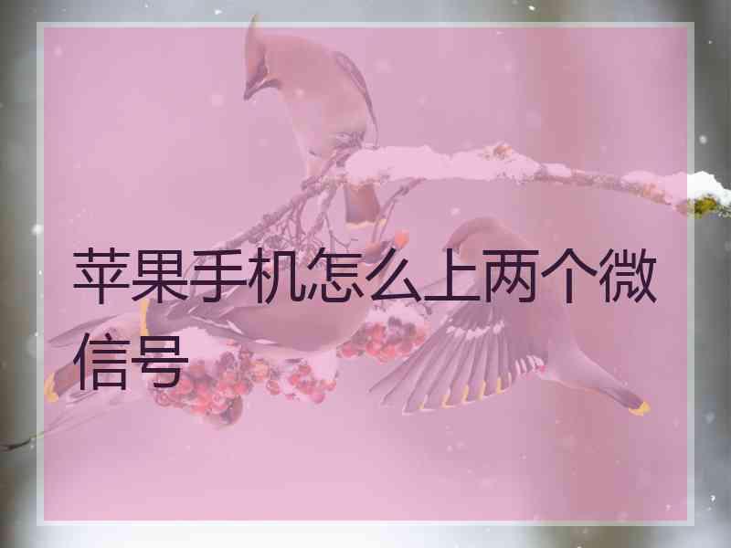 苹果手机怎么上两个微信号