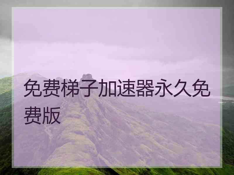 免费梯子加速器永久免费版
