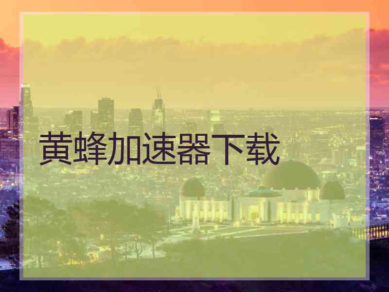 黄蜂加速器下载