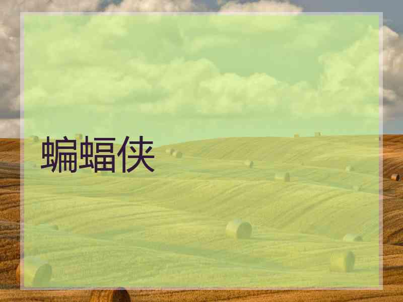 蝙蝠侠