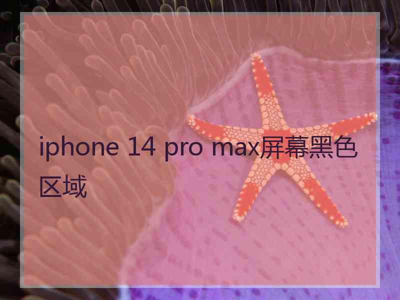 iphone 14 pro max屏幕黑色区域