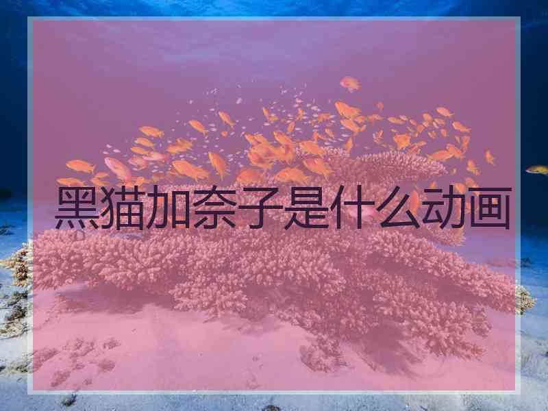 黑猫加奈子是什么动画