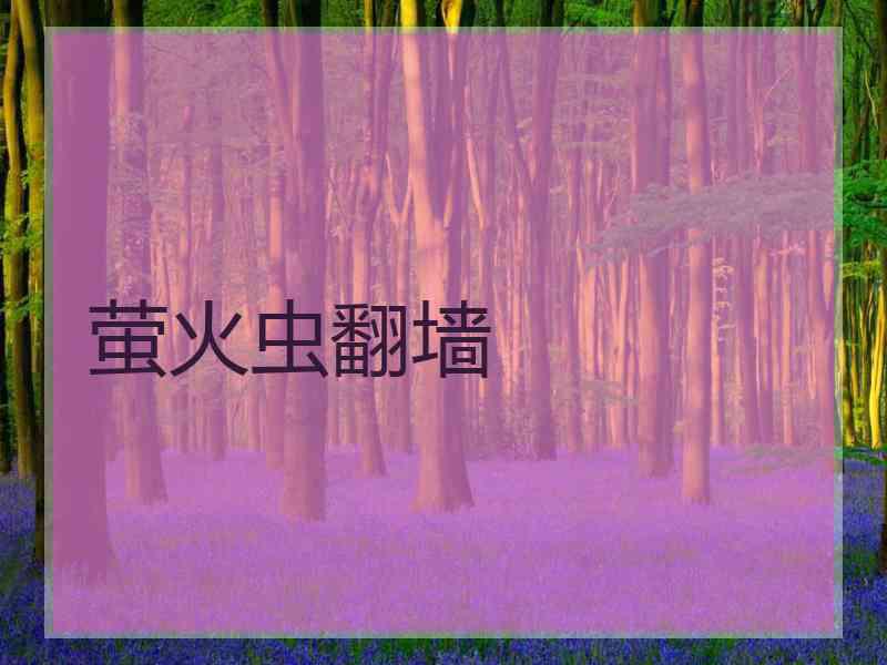 萤火虫翻墙