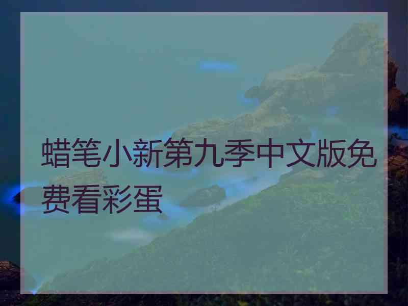 蜡笔小新第九季中文版免费看彩蛋