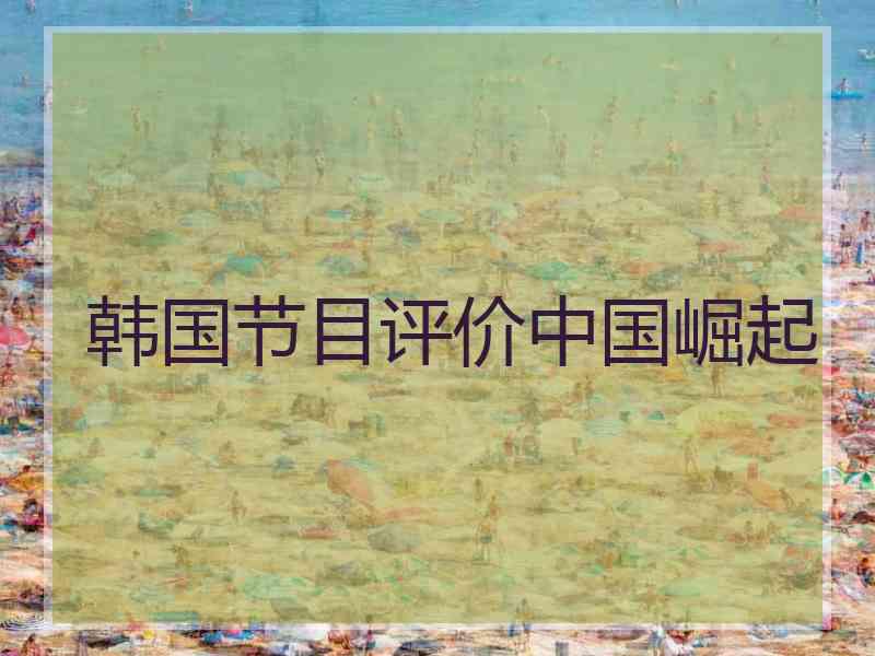 韩国节目评价中国崛起