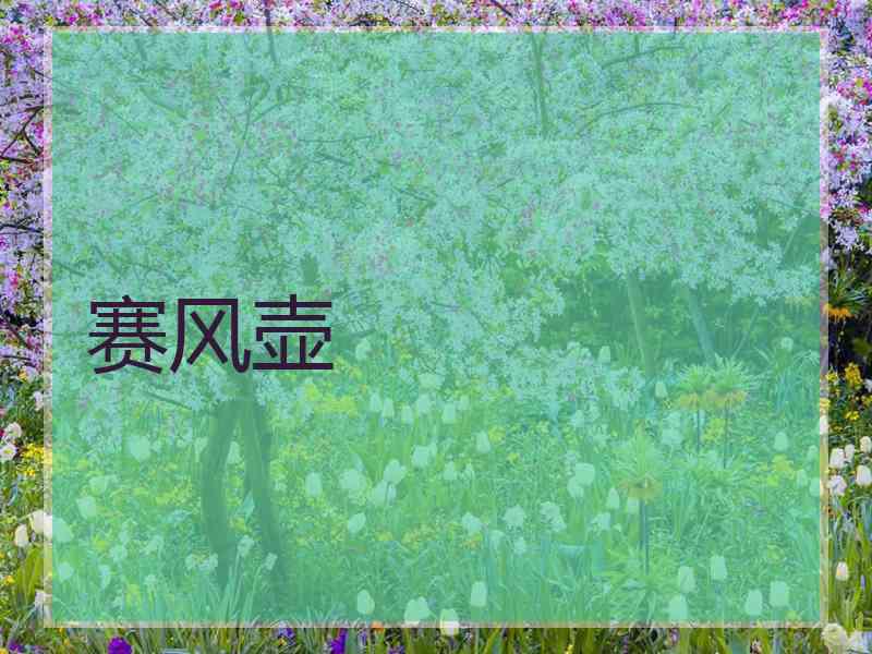 赛风壶