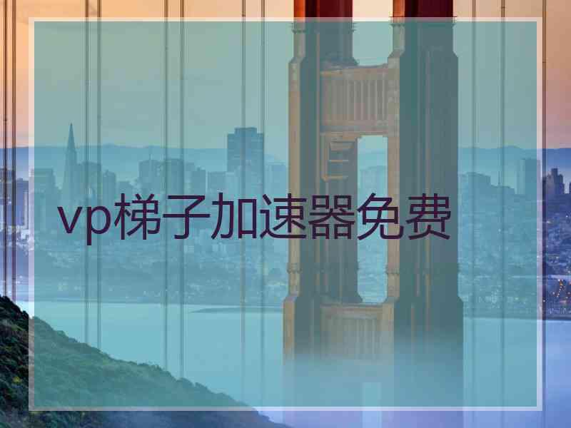vp梯子加速器免费