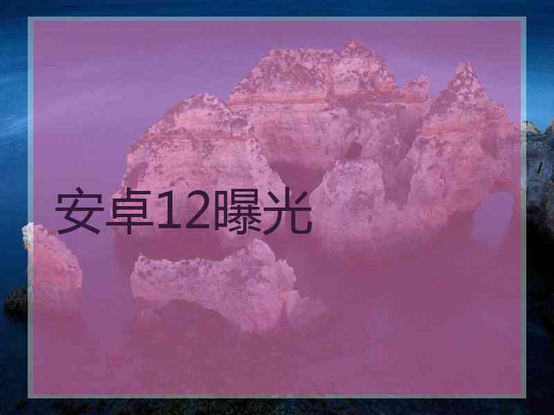 安卓12曝光