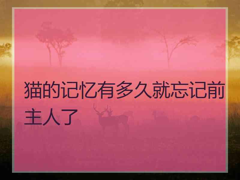 猫的记忆有多久就忘记前主人了