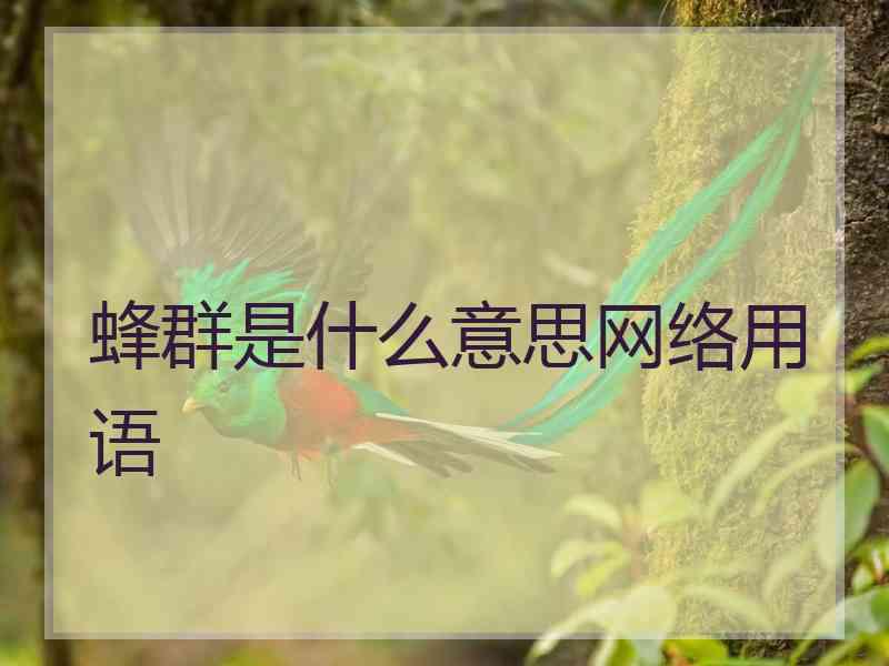 蜂群是什么意思网络用语