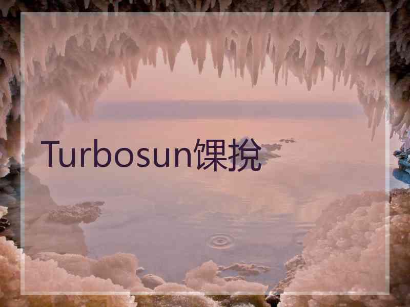 Turbosun馃挩