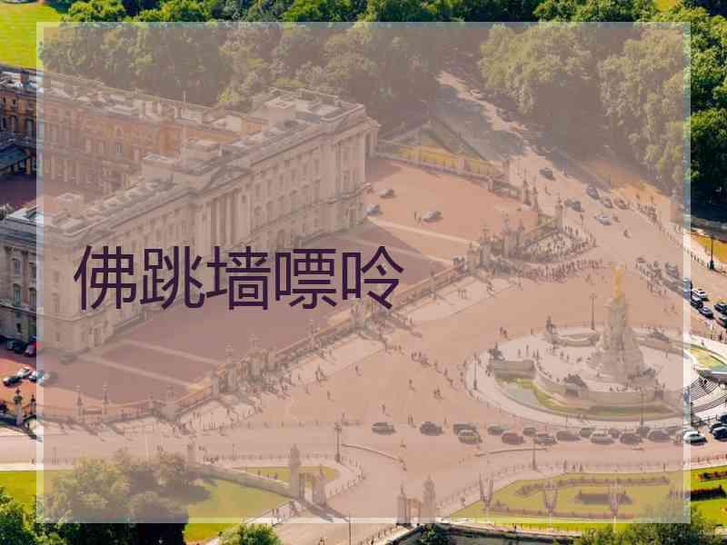 佛跳墙嘌呤