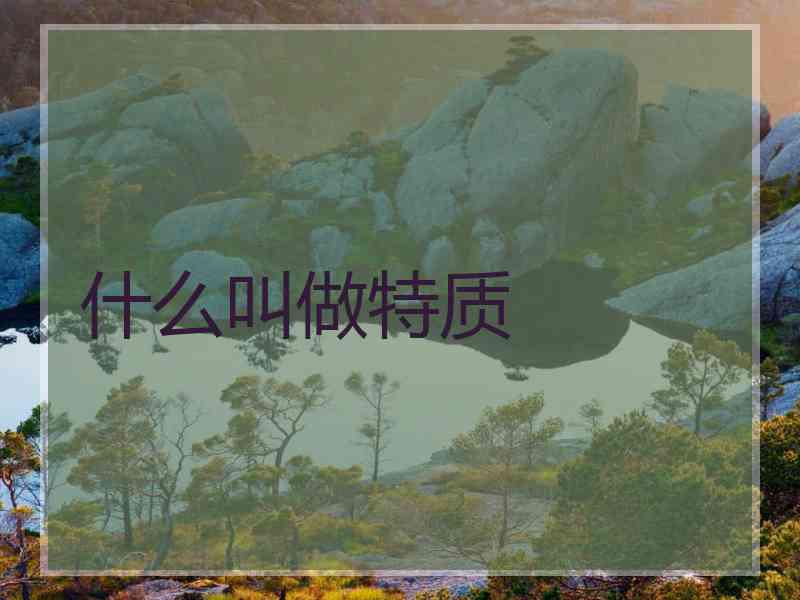 什么叫做特质