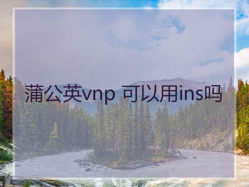 蒲公英vnp 可以用ins吗