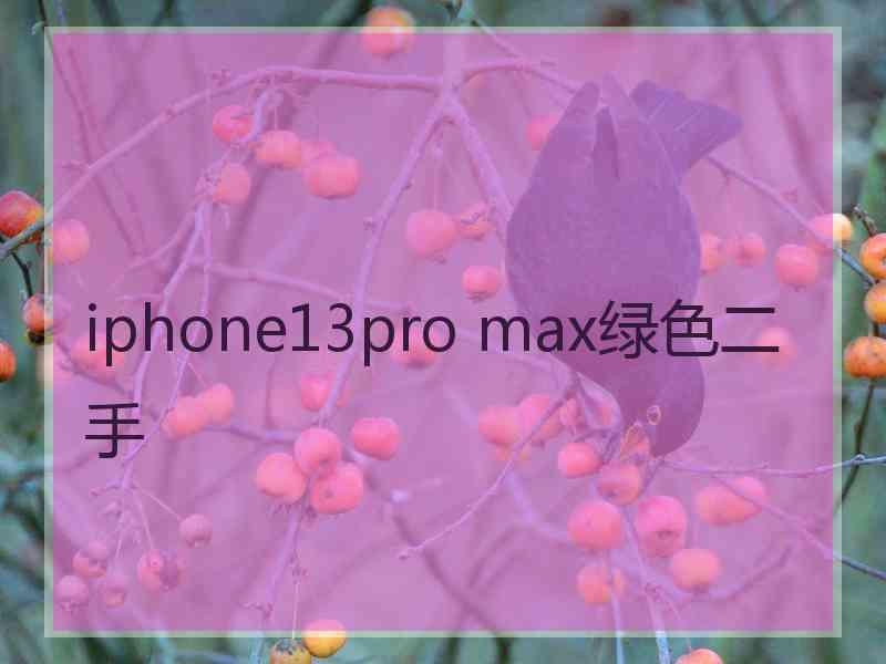 iphone13pro max绿色二手