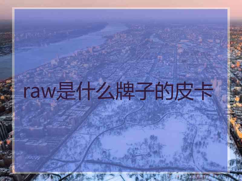 raw是什么牌子的皮卡