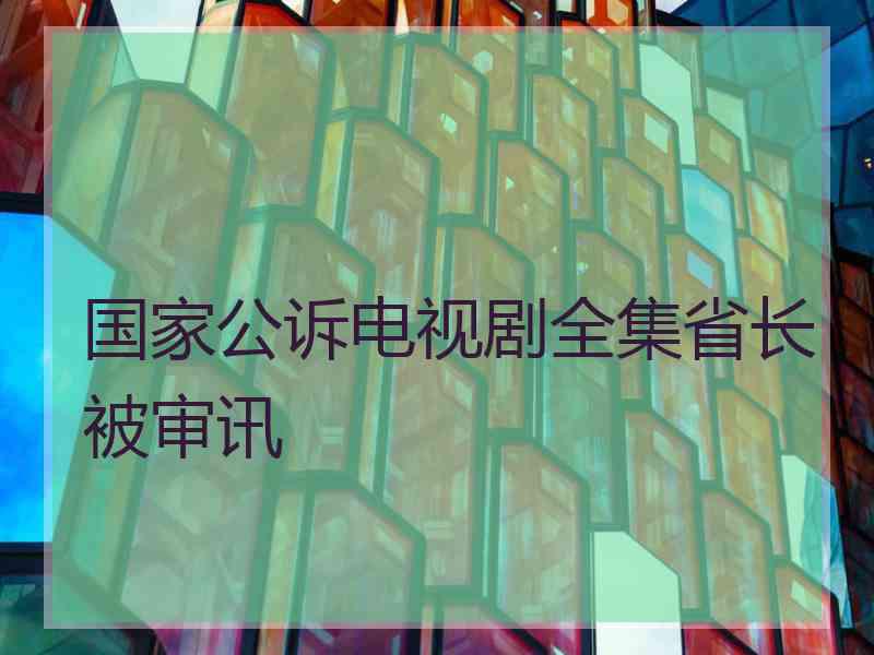 国家公诉电视剧全集省长被审讯