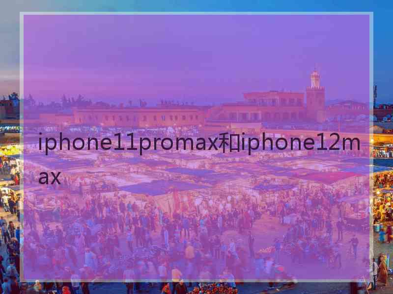 iphone11promax和iphone12max