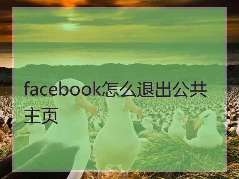 facebook怎么退出公共主页