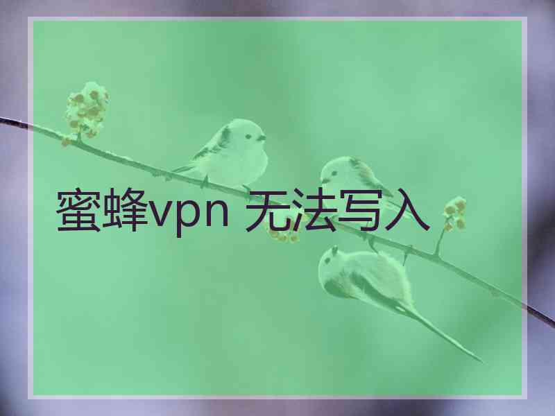 蜜蜂vpn 无法写入