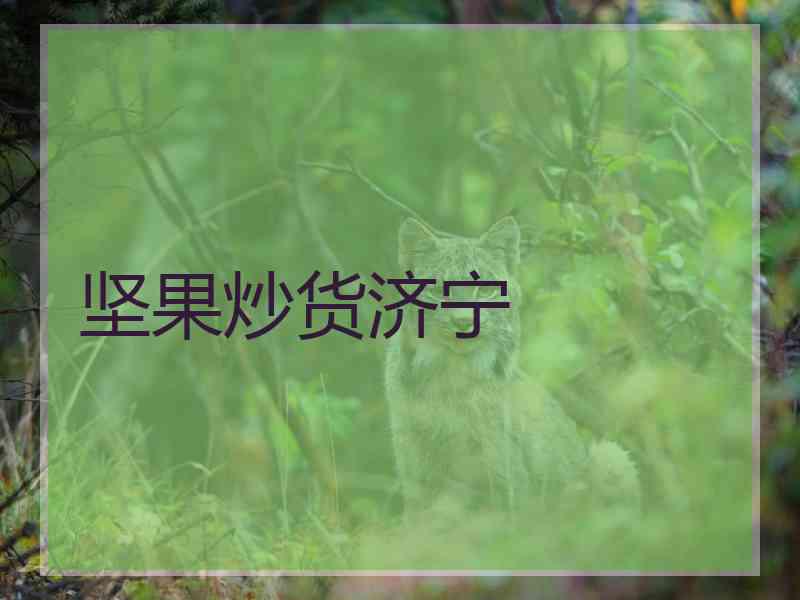 坚果炒货济宁