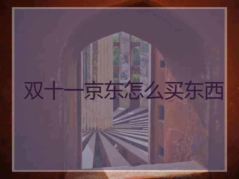 双十一京东怎么买东西