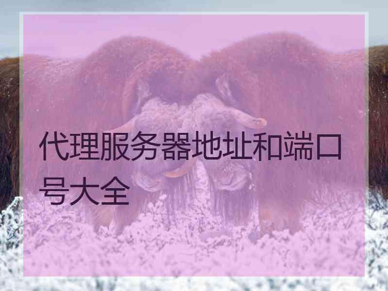 代理服务器地址和端口号大全
