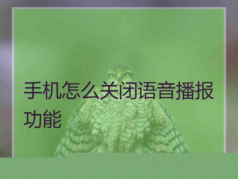 手机怎么关闭语音播报功能