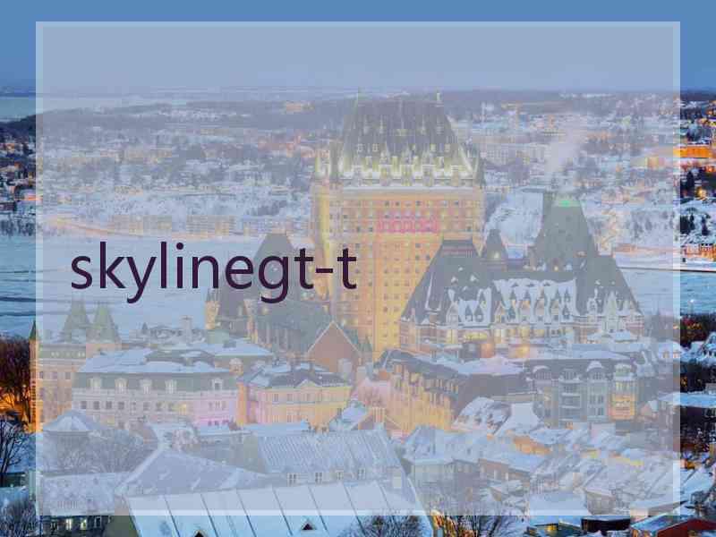 skylinegt-t
