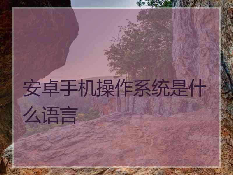 安卓手机操作系统是什么语言