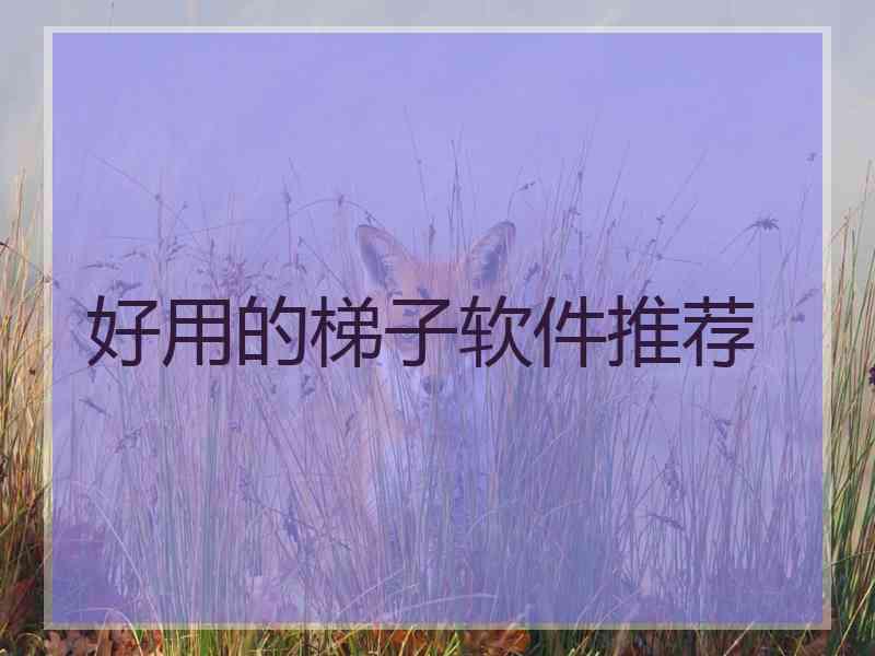 好用的梯子软件推荐