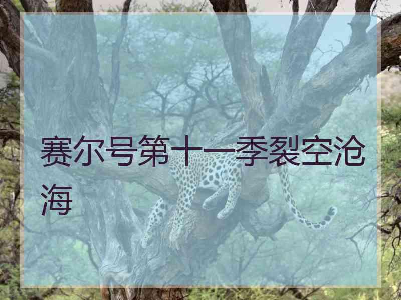 赛尔号第十一季裂空沧海