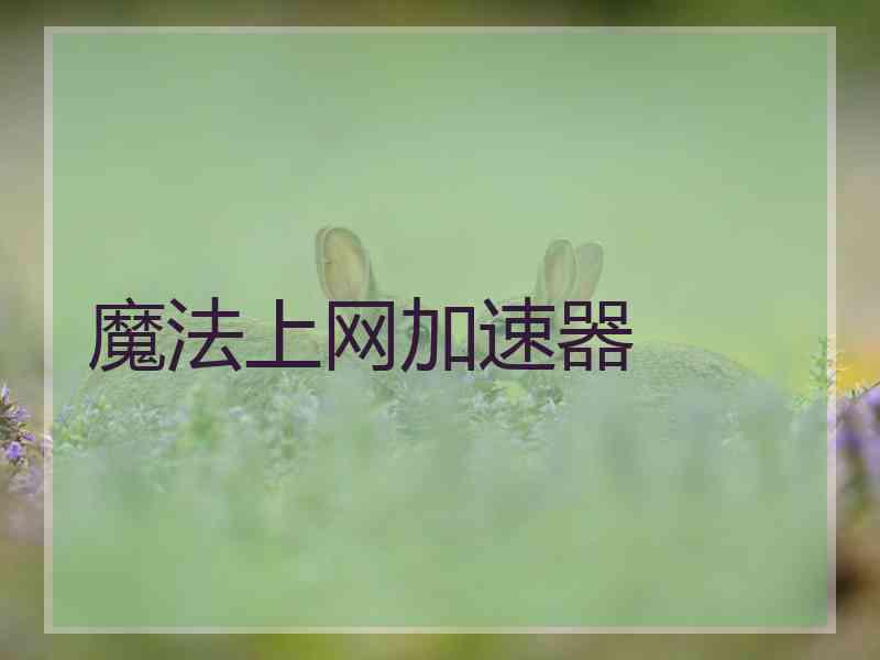 魔法上网加速器