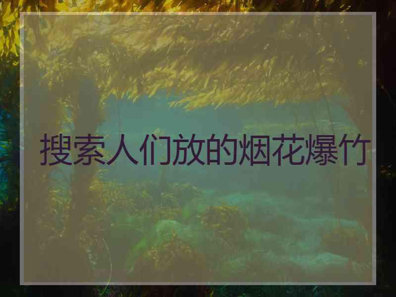 搜索人们放的烟花爆竹