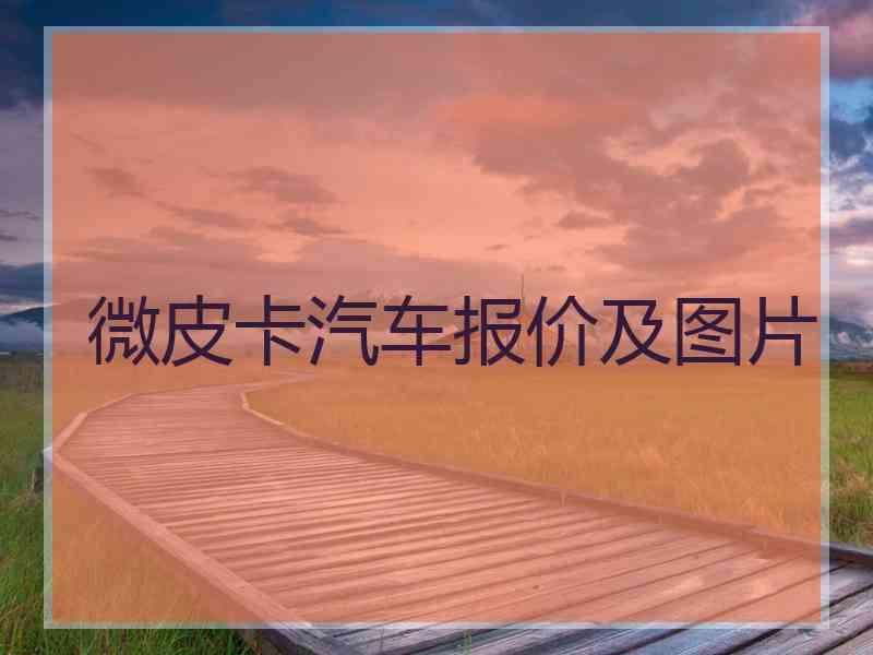 微皮卡汽车报价及图片
