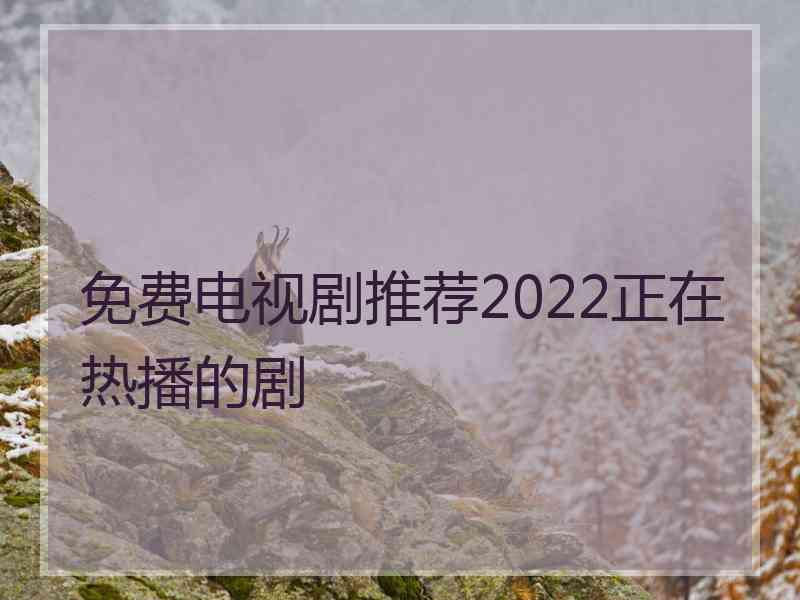 免费电视剧推荐2022正在热播的剧