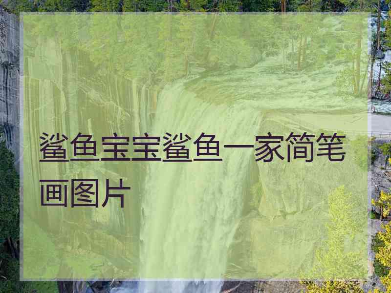鲨鱼宝宝鲨鱼一家简笔画图片